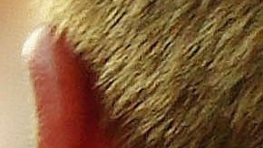 Brad Pitt y Jennifer Aniston.