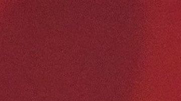 La secretaria causó un retraso de 38 minutos en un vuelo comercial.