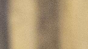 El presidente quiere que ciudadanos que patrocinaron a un inmigrante paguen por la ayuda federal