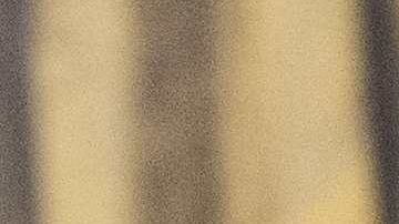 El presidente quiere que ciudadanos que patrocinaron a un inmigrante paguen por la ayuda federal