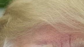 gettyimages-913437894 (1) (1)