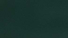 TENNIS-DAVIS-MEX-PUR