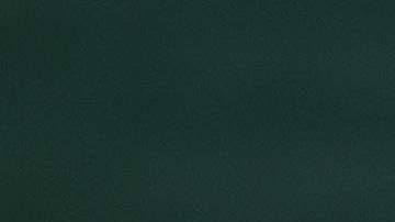 TENNIS-DAVIS-MEX-PUR