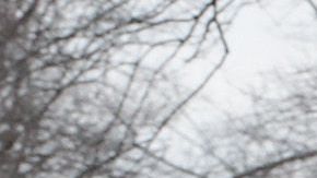 Hay inundaciones en Indiana, Illinois, Michigan, Wisconsin y otros estados del medio oeste.