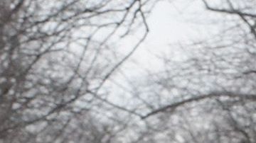 Hay inundaciones en Indiana, Illinois, Michigan, Wisconsin y otros estados del medio oeste.