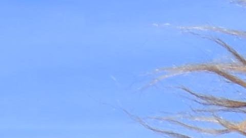 Chewbacca de la saga de Star Wars.