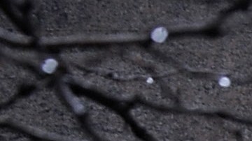 Manhattan Detention Complex (MDC)