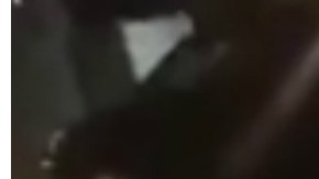 Granizo fue recuperado en Staten Island.