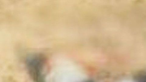 Hallan 5 cuerpos torturados en Michoacán