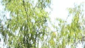 Hallan al menos 20 narcofosas en Mexico en menos de una semana