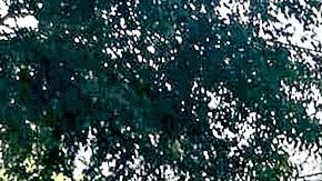 Huachicol en panteón o cementerio de la Ciudad de México