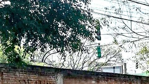 Huachicol en panteón o cementerio de la Ciudad de México