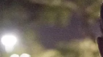 La agencia tiene contratos con aerolíneas para transportar a inmigrantes.