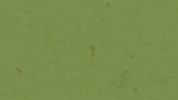 Ileana Cabra Joglar 'Ile'/ Crédito: César Berrio/ Cortesía.