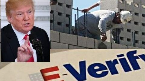 Trump prepara fuerte paquete de medidas migratorias