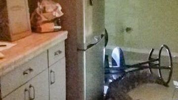 El caimán entró por la parte baja de una de las ventanas de la cocina.