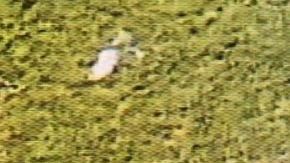 Maleah Davis ingresa al apartamento detrás de su padrastro Darion Vence, vestida con una blusa blanca y una faldita rosa.