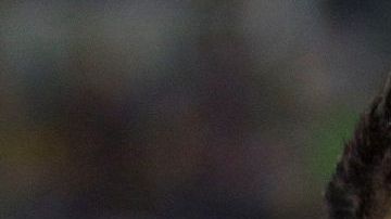 Salvador Cabañas durante su homenaje en 2014 con los Jaguares de Chiapas y las Águilas del América.