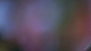 Jorge Vergara se alejó de toda actividad desde hace más de un año