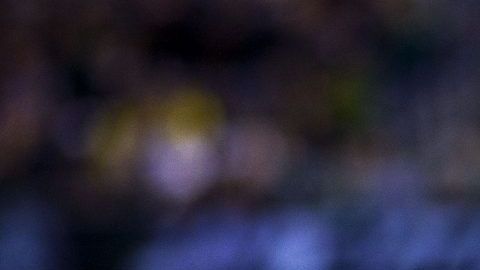 'Chucky' Lozano se baja de la convocatoria de la selección mexicana rumbo a la Copa Oro.