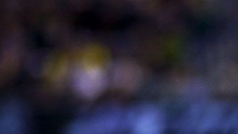 'Chucky' Lozano se baja de la convocatoria de la selección mexicana rumbo a la Copa Oro.