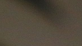 Diego Armando Maradona podría retrasar su renovación de contrato con Dorados de Sinaloa