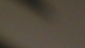 Diego Armando Maradona podría retrasar su renovación de contrato con Dorados de Sinaloa