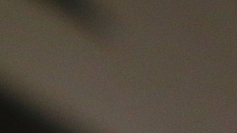 Diego Armando Maradona podría retrasar su renovación de contrato con Dorados de Sinaloa