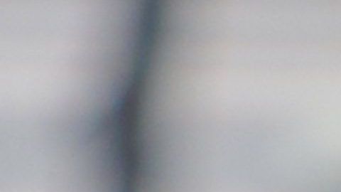 Miguel Herrera prepara a sus águilas para hacerle frente a León en las semifinales