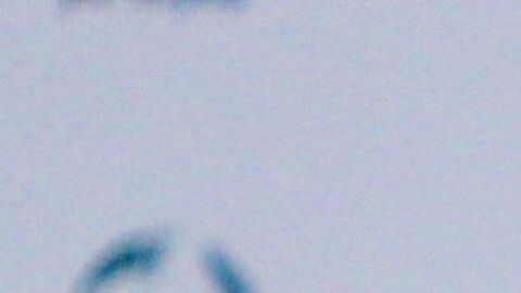 Rafael Márquez organizará un partido a beneficio con grandes exfiguras del fútbol mundial