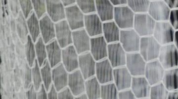 León venció a las Águilas del América que fueron 'locales' en el estadio La Corregidora de Querétaro.