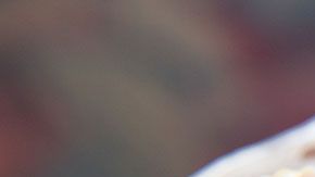 Es posible que este producto sea un parteaguas en la industria de la carne.