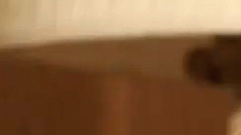 Itatí Cantoral como Silvia Pinal