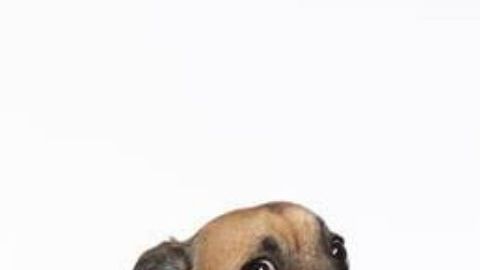 Its Bruno