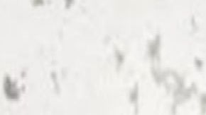 Liberan a "El Chofo", presunto sicario del CJNG