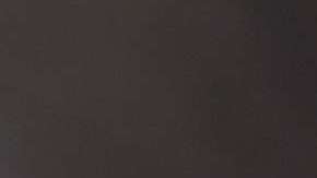 El video llegó a más de 2,500 empleados.