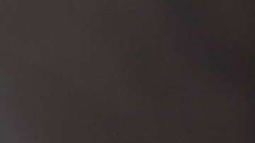 El video llegó a más de 2,500 empleados.