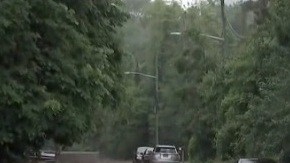 Fue encontrado en Wyandanch, NY