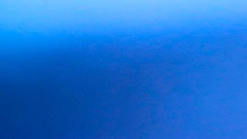 El jefe de seguridad supuestamente gustaba de toquetear a las personas en las partes íntimas.