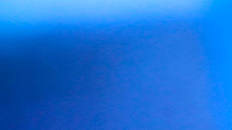 El jefe de seguridad supuestamente gustaba de toquetear a las personas en las partes íntimas.