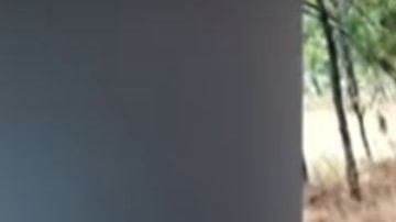 Un enfrentamiento de cárteles dejó 10 muertos en Michoacán.