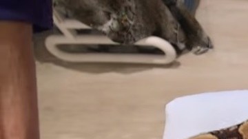 Una cliente en pleno masaje