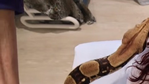 Una cliente en pleno masaje