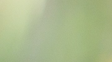 Emma era una mezcla de shih tzu como el perro de esta foto.