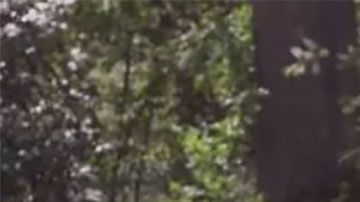 Un carpintero profesional hizo este sorprendente restaurante a escala súper detallista.