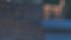 McDonald's no está muy convencido de que los productos vegetarianos ayuden a mejorar su servicio.