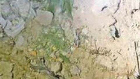 Mujeres fosa clandestina Ciudad Juárez