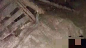 Sicarios balean a 4 jóvenes en Torreón, Coahuila