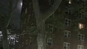 St. Nicholas Houses, Harlem