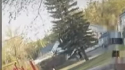 Imagen de la paliza.